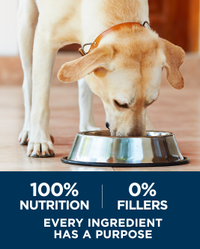 100 % de nutrición y 0 % de rellenos, cada ingrediente tiene un propósito