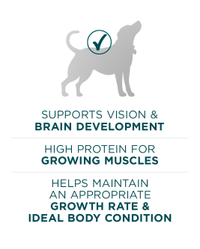 supports vision and brain development