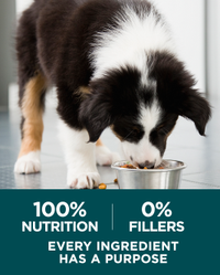 100 percent nutrition, 0 percent fillers, every ingredient has a purpose