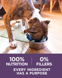 100 percent nutrition, 0 percent fillers, every ingredient has a purpose