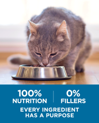 100 percent nutrition 0 percent fillers every ingredient has a purpose