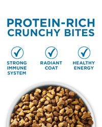 Protein rich crunchy bites