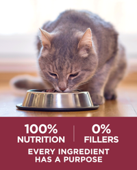 100 percent nutrition, 0 percent fillers, every ingredient has a purpose