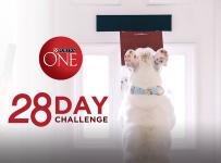 28 Day Challenge