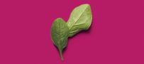 Spinach