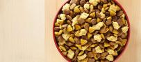 Dog Food Bowl