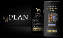 My plan