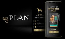 myplan-puppy