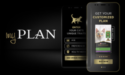 My Plan Get your Customized Plan