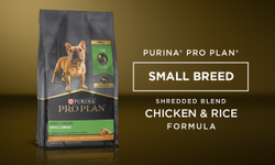 Products Pro Plan Small Breed Chicken & Rice Formula