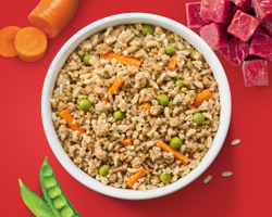 High protein Purina ONE fresh dog food bowl with carrots and peas.