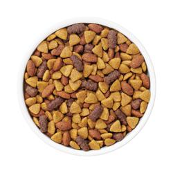 Purina Dog Chow Complete Adult Dry Dog Food With Real Chicken kibble in white bowl