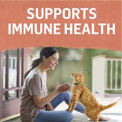 Fortalece la salud del sistema inmunitario