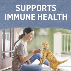 Fortalece la salud del sistema inmunitario