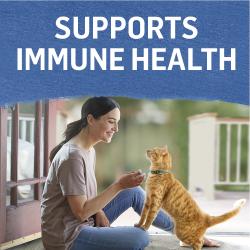 Fortalece la salud del sistema inmunitario