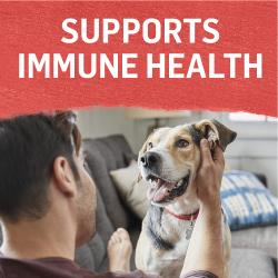 fortalece la salud del sistema inmunitario