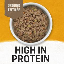 high in protein