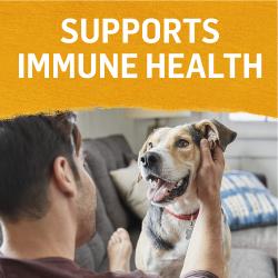 Supports immune health