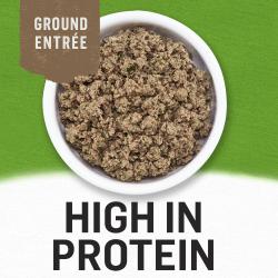 high in protein