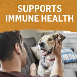 supports immune health