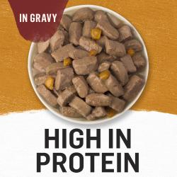 high in protein