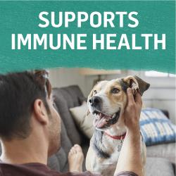 fortalece la salud del sistema inmunitario