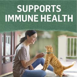 fortalece la salud del sistema inmunitario