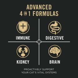 Advanced 4 in 1 formulas proactively support your cat's vital systems. Immune, digestive, kidney, brain.