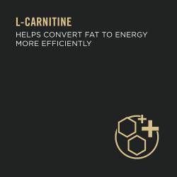 La L-carnitina ayuda a convertir la grasa en energía de manera más eficiente