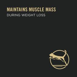 Mantiene la masa muscular durante la pérdida de peso