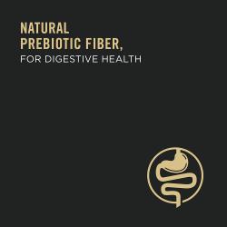 Fibra prebiótica natural para la salud digestiva