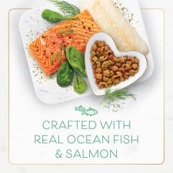 fancy feast con ingredientes secos de pescado y salmón marino