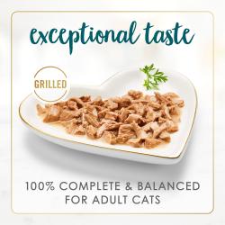 Una nutrición 100 % completa y equilibrada para gatos adultos