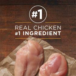 po dog wet ml cg cknbrnrc fb1