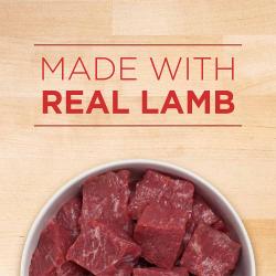 po dog wet pls pup lmb fb1