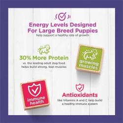 dc large breed energy levels