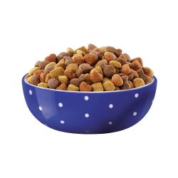 dc large breed kibble