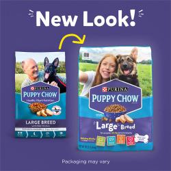 dc large breed new look