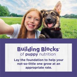 dc large breed puppy nutrition