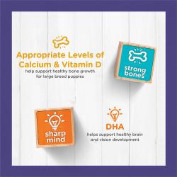 dc large breed vitamins