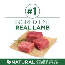 po dog dry smbrdadlt fb1