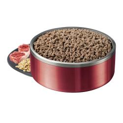 alimento húmedo para perros en un plato rojo