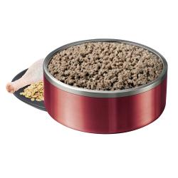 alimento húmedo para perros en un plato rojo