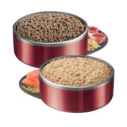 alimento para perros en un tazón rojo