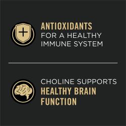 Pro Plan antioxidants