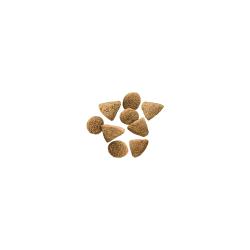Dry cat food foodshot