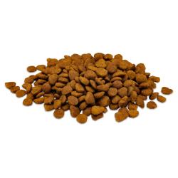 proplan foodshot drycatfood