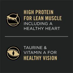 Alto contenido de proteínas para músculos magros