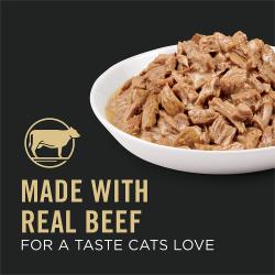 Pro Plan real beef