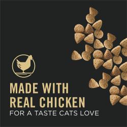 Made with real chicken